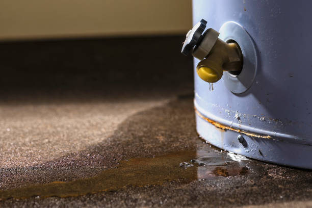 Best Flood damage cleanup  in Rm Beach, WA