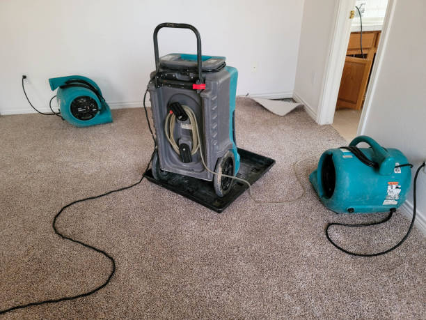 Best Flood damage cleanup  in Rm Beach, WA