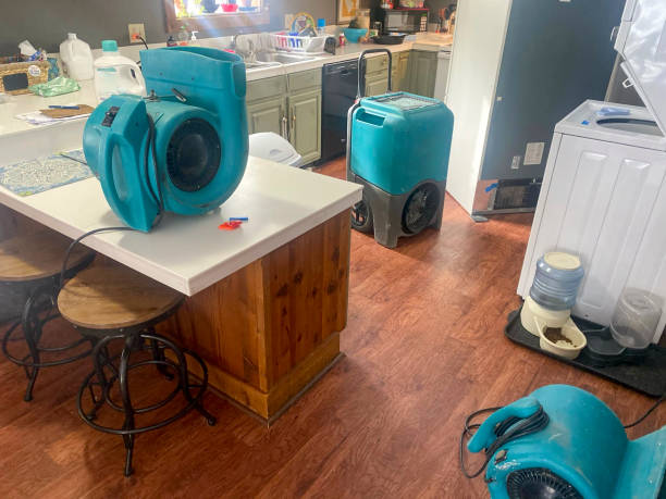 Best Flooded house restoration  in Rm Beach, WA