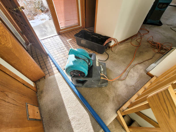 Professional Water damage restoration in Warm Beach, WA