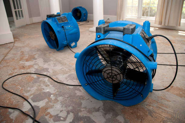Best Water damage contractors near me  in Rm Beach, WA