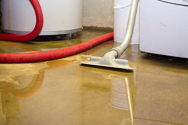 Best Professional water damage repair  in Rm Beach, WA