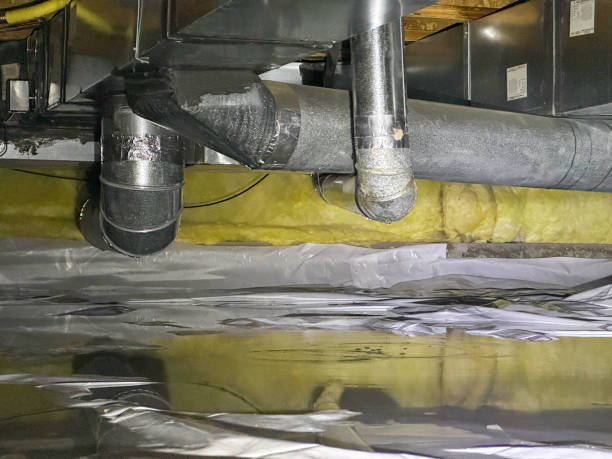 Best Water damage cleanup near me  in Rm Beach, WA