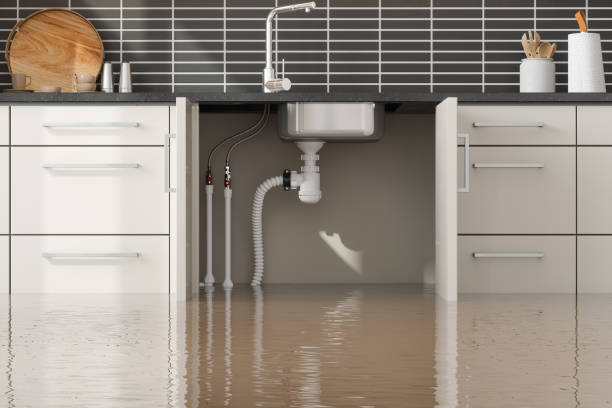Best Water damage restoration near me  in Rm Beach, WA