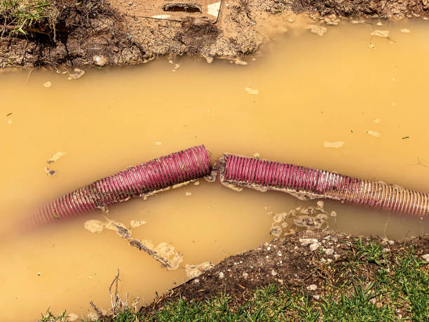 Best Water damage restoration near me  in Rm Beach, WA