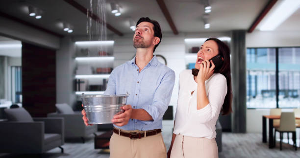 Best Water damage restoration specialists  in Rm Beach, WA